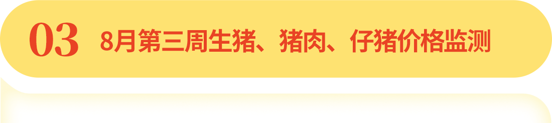 中国电子游艺网站下载安装