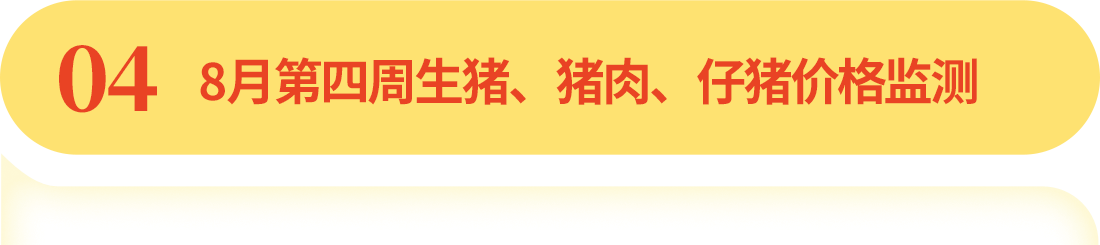 中国电子游艺网站下载安装