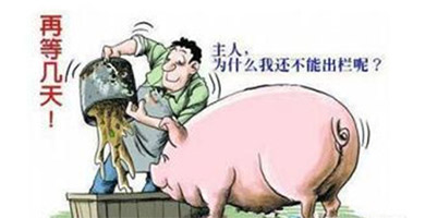 十月将触底反弹