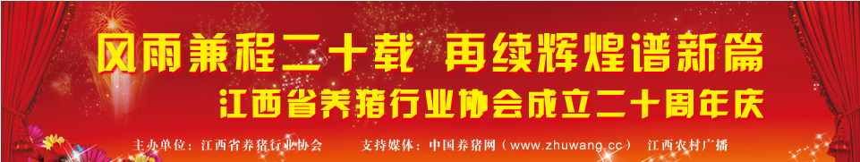 人物专题:科技养猪先行者——十八大代表王冬新
