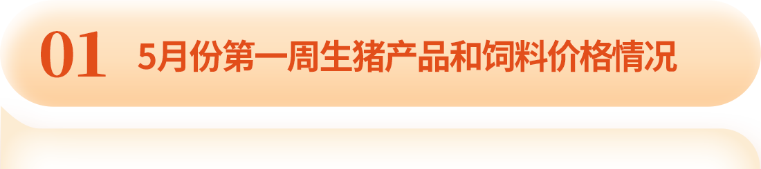 中国电子游艺网站下载安装