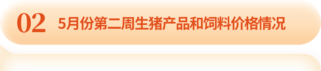 中国电子游艺网站下载安装