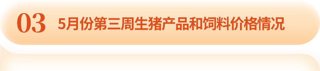 中国电子游艺网站下载安装