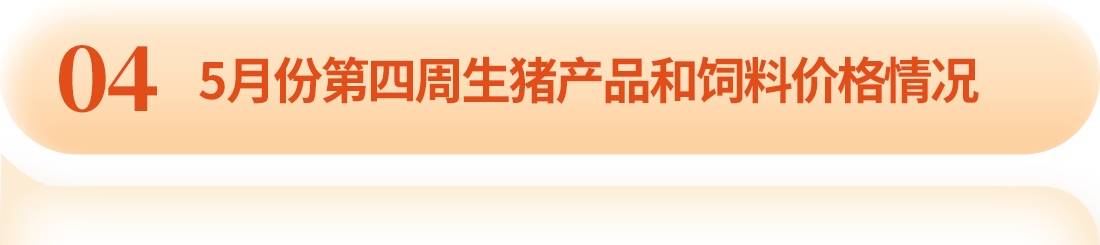 中国电子游艺网站下载安装