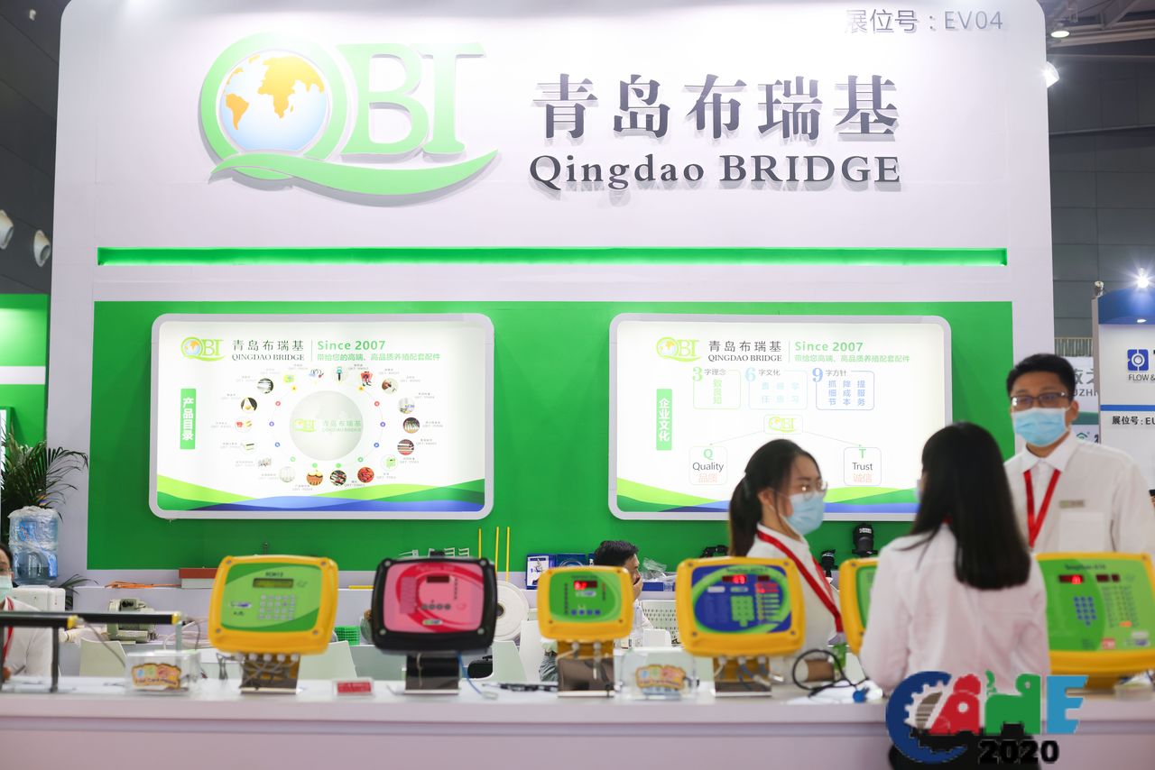 中国电子游艺网站下载安装