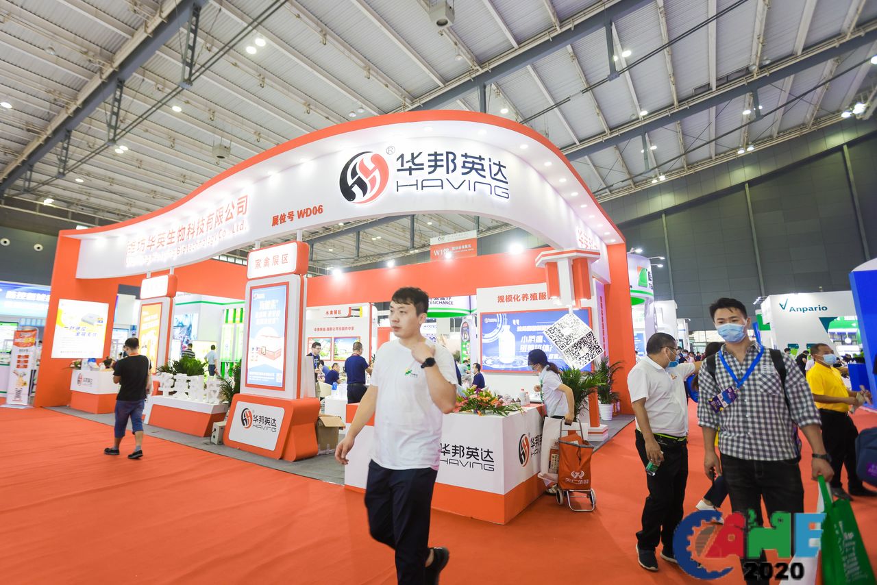 中国电子游艺网站下载安装