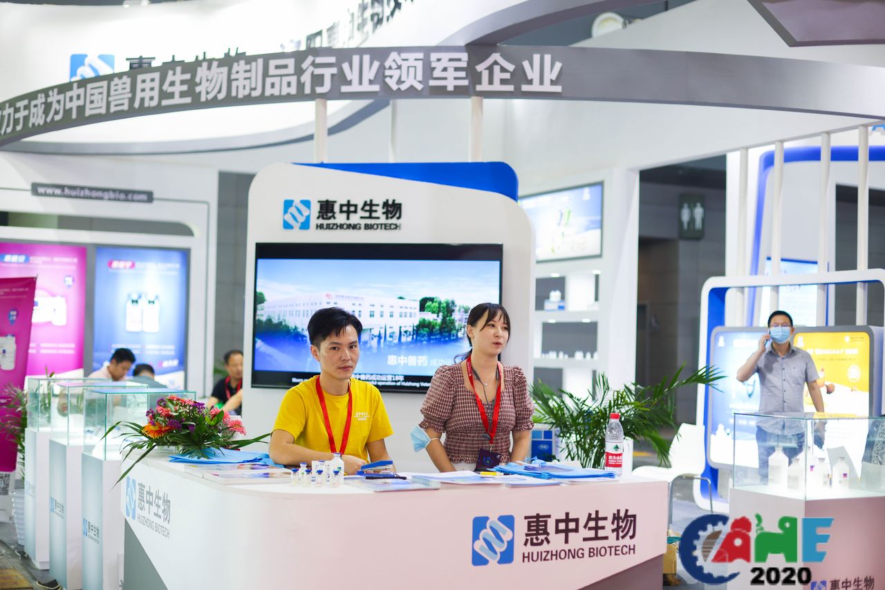 中国电子游艺网站下载安装