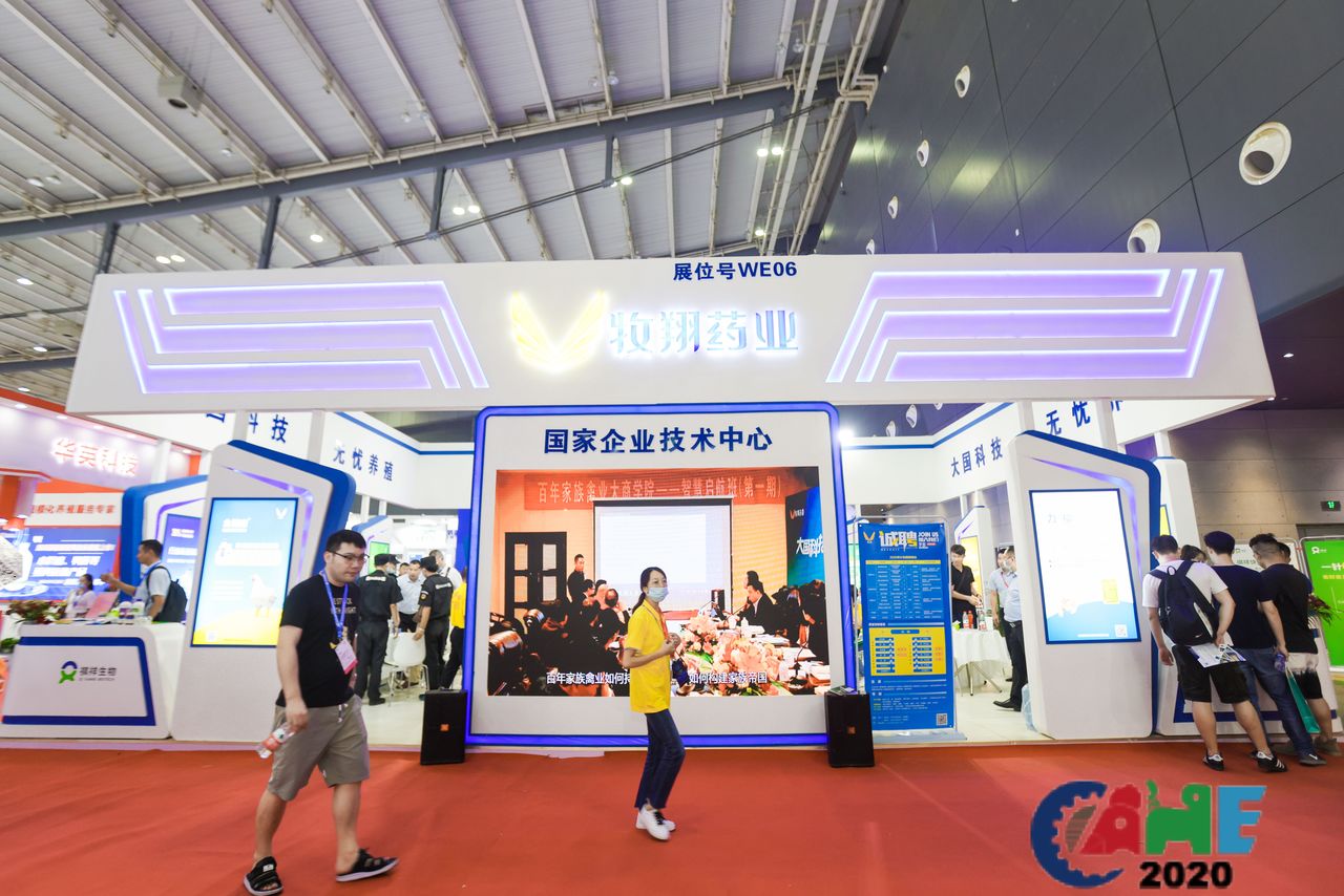 中国电子游艺网站下载安装