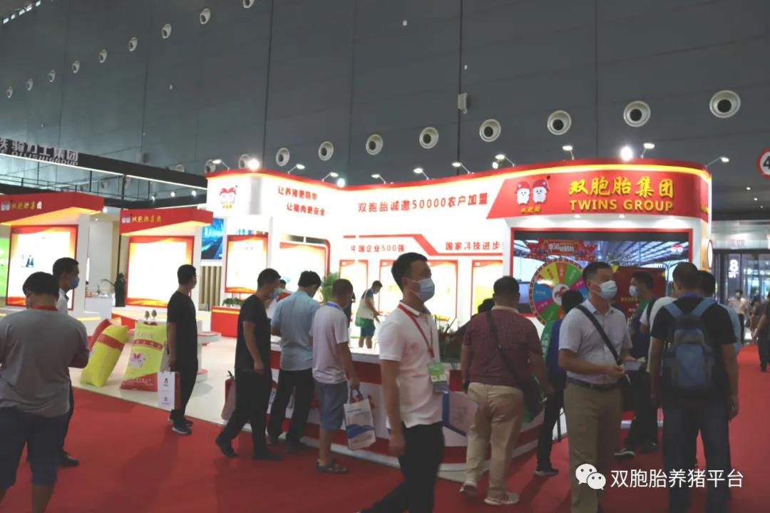 中国电子游艺网站下载安装