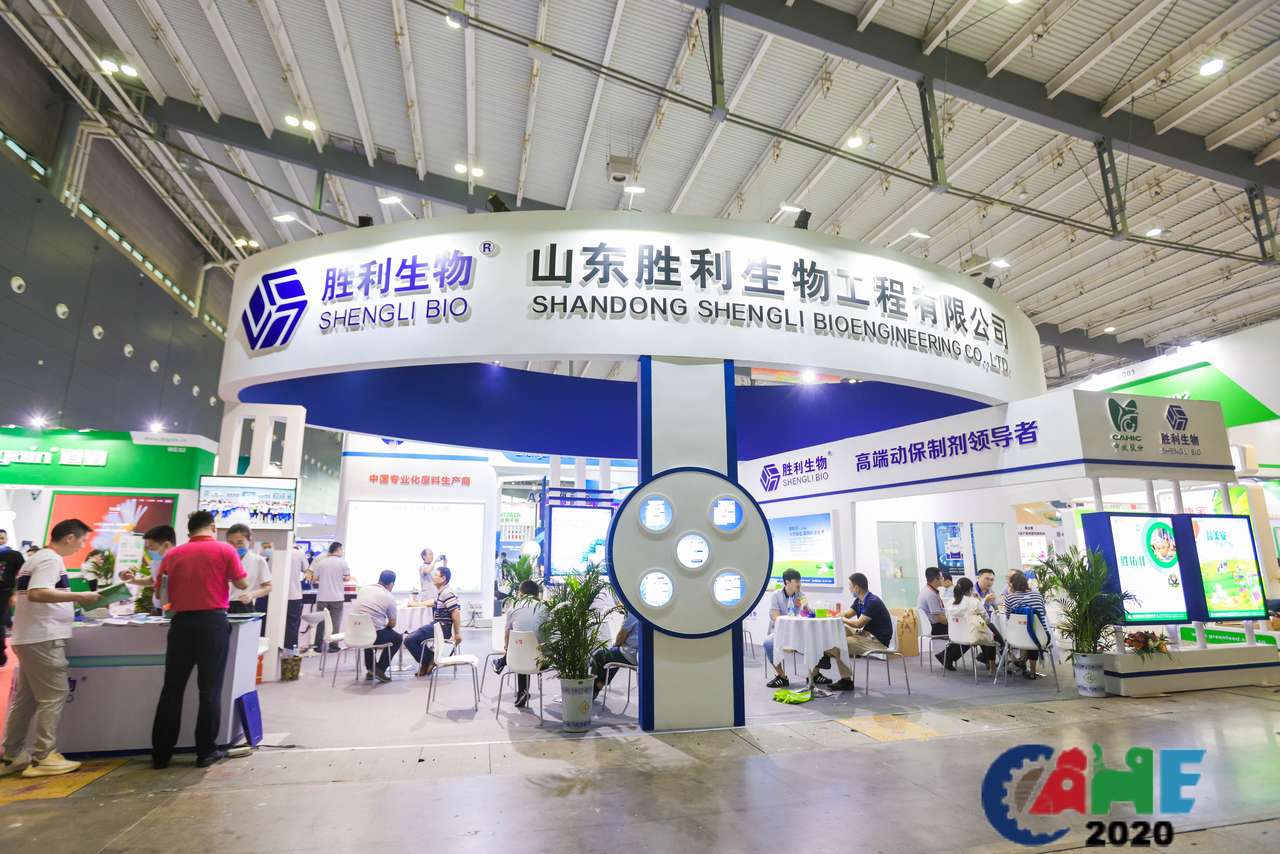 中国电子游艺网站下载安装