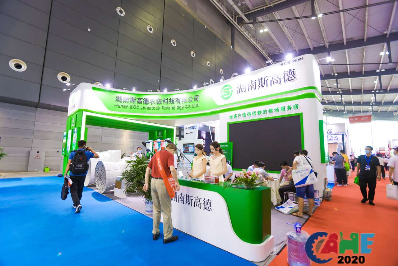 中国电子游艺网站下载安装