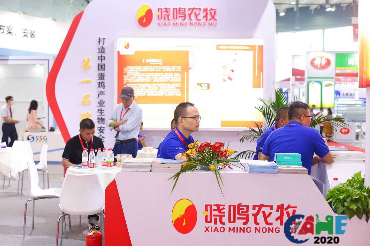 中国电子游艺网站下载安装
