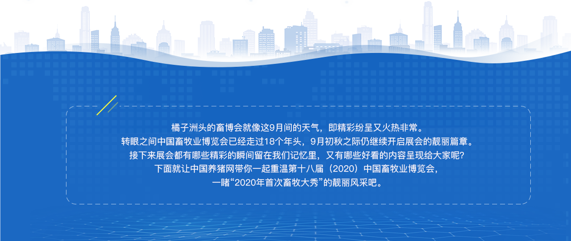中国电子游艺网站下载安装