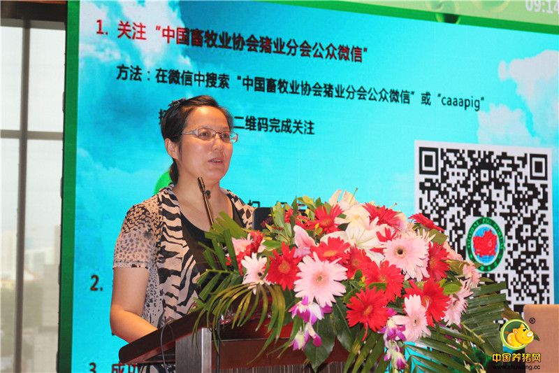 畜牧业司畜牧处处长左玲玲作报告 《我国生猪生产现状及发展思路》