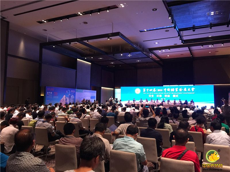 会议开展的如火如荼