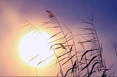 人生的最高境界，就两个字：度和给