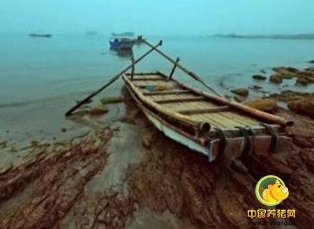 人生像过客，岁月催人老