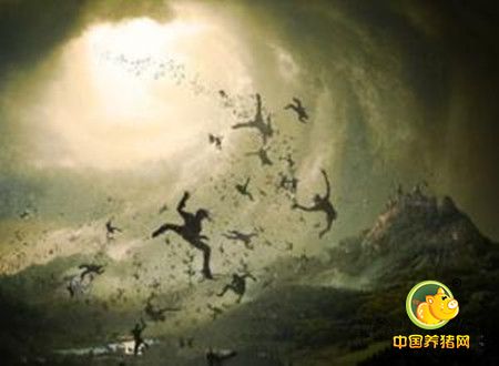 人生五美：简约，顺畅，宽厚，淡泊，快意