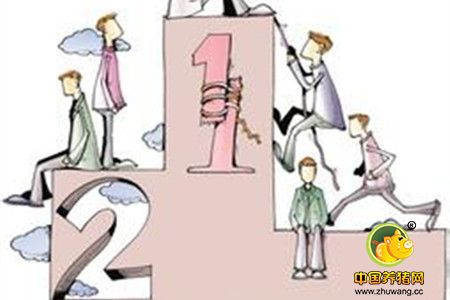 领导培养高效员工，需经过4个阶段