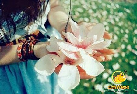 懂得体会寂寞的人，才会懂得体会人生