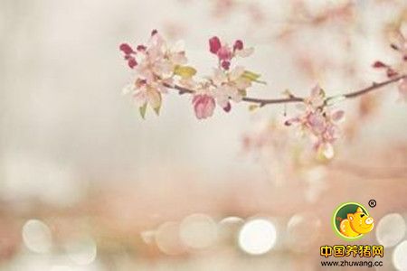 岁月静好，安暖如斯