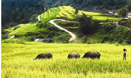 一件事，教你一生不再生气！