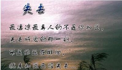 感悟人生精典爱情语录，精典精辟扎心！