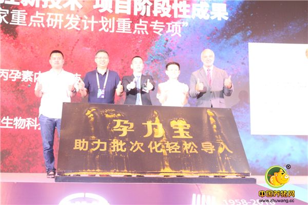 孕力宝产品发布会