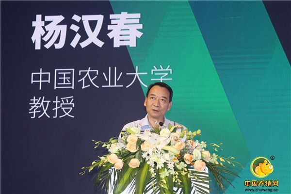 中国农业大学教授、国家生猪产业技术体系疾病控制研究室主任杨汉春先生