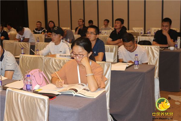 会议现场认真聆听报告的观众