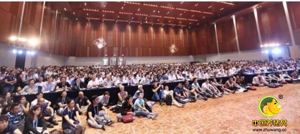 国际猪病参会代表们享用知识的“饕餮盛宴”