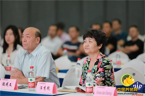 行业发展问题多角度剖析