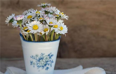 人生感悟心情说说，精辟人生感悟句子...