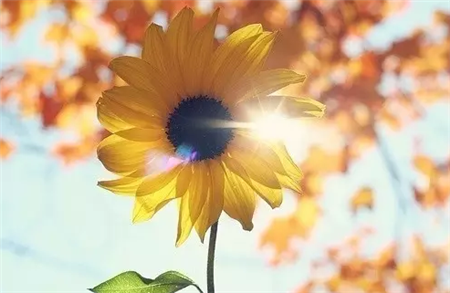 文章很短，句句扎心，看懂了将明白许多道理