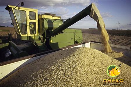 豆粕短期下跌行情还会持续吗