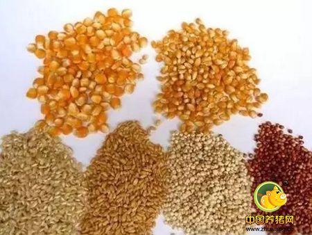 饲料原料储存期间品质变化及措施