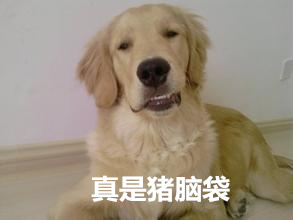 说事段子猪—高温天气长白猪变杜洛克 屠宰场任性涨价真坑爹