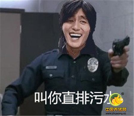 说事段子猪：污水直排电子游艺网站
强制搬迁 突发大火肥猪惨被烤焦