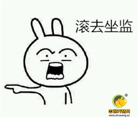 说事段子猪：污水直排电子游艺网站
强制搬迁 突发大火肥猪惨被烤焦