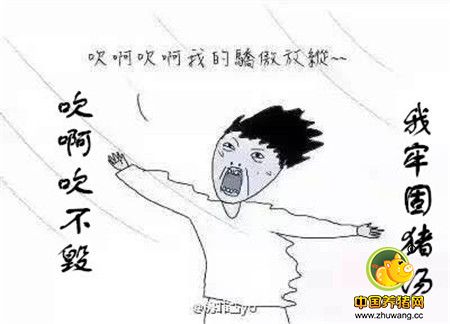 说事段子猪：“妮妲”来袭电子游艺网站
防遭灾 臭肉高挂食用三十年 