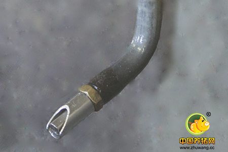 电子游艺网站
饮水器的选择与使用