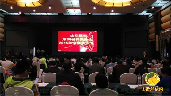 湖南养猪协会2015年年会召开