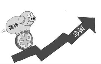 猪价上涨全国一片红！这次上涨能持续吗？