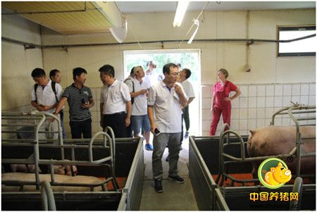 全国猪定协作组欧洲考察活动圆满结束