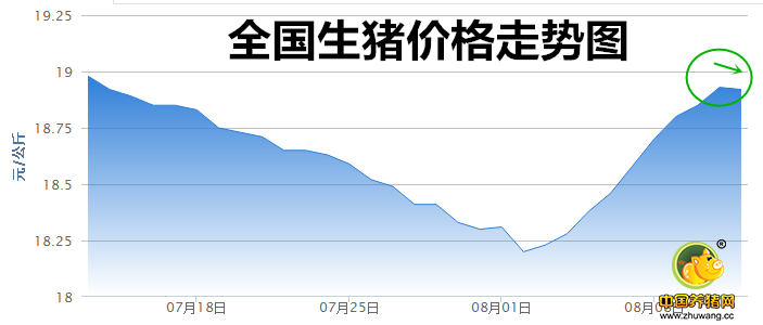 猪价“跌”了！ 难道反弹又失败了？！