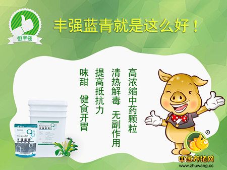 浅述电子游艺网站
高热应激对母猪的影响与防控