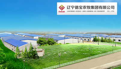 名企推荐——辽宁德宝农牧集团
