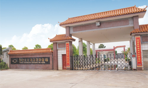 名企推荐——湖南正虹原种电子游艺网站
