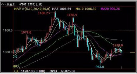 市场对9月份国内豆粕现货价格走势多空分歧较大