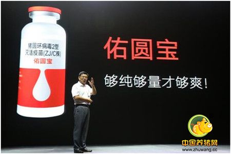 金河生物新作 “佑本”携猪圆环疫苗“佑圆宝”问世